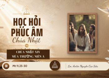 HỌC HỎI PHÚC ÂM CHÚA NHẬT XIV THƯỜNG NIÊN NĂM A