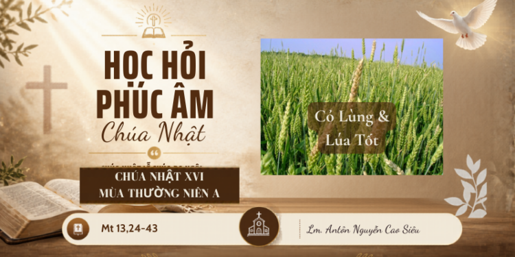 HỌC HỎI PHÚC ÂM CHÚA NHẬT XVI THƯỜNG NIÊN – Năm A