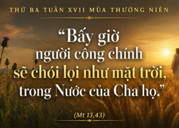 Thứ Ba 28.07.2026 Giữa Lúa Tốt và Cỏ Lùng – Kiên Vững Trong Niềm Hy Vọng