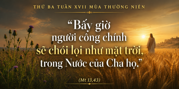 Thứ Ba 28.07.2026 Giữa Lúa Tốt và Cỏ Lùng – Kiên Vững Trong Niềm Hy Vọng