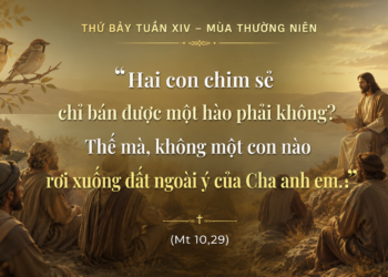 Thứ Bảy 11.07.2026 Quý giá vô ngần trong ánh mắt Thiên Chúa