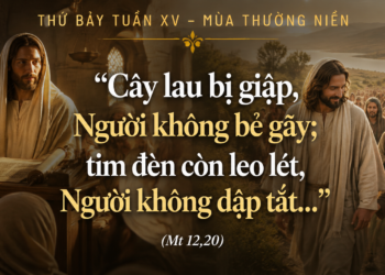 Thứ Bảy 18.07.2026 Đừng Bẻ Gãy Cây Lau Bị Giập