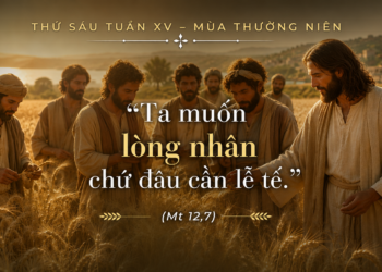 Thứ Sáu 12.07.2026 Lòng thương xót vượt trên lề luật