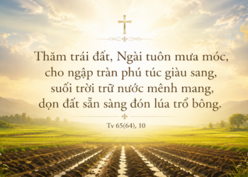 Thánh Vịnh Chúa Nhật Tuần XV Mùa Thường Niên