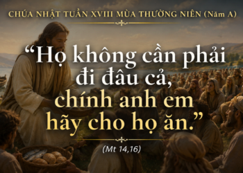 Chúa Nhật 02.08.2026 Tình Yêu Vô Điều Kiện Của Thiên Chúa