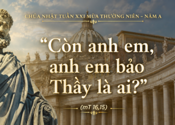 Chúa Nhật 23.08.2026 “Còn anh em, anh em bảo Thầy là ai?”