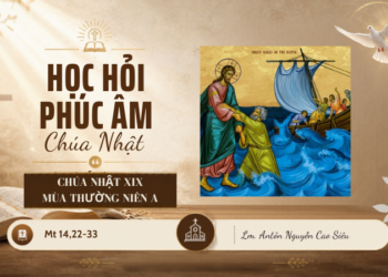 HỌC HỎI PHÚC ÂM CHÚA NHẬT XIX THƯỜNG NIÊN – Năm A
