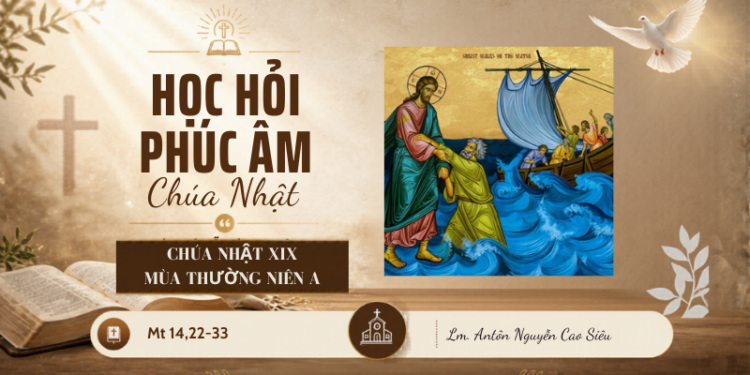 HỌC HỎI PHÚC ÂM CHÚA NHẬT XIX THƯỜNG NIÊN – Năm A