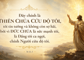 Thánh Vịnh Đáp CaThứ Sáu Tuần XIX – Mùa Thường Niên