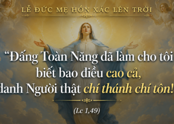 Thứ Bảy 15.08.2026 Đức Maria Hồn Xác Lên Trời –  Dấu Chỉ Hy Vọng Cho Người Lữ Hành