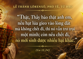 Thứ Hai 10.08.2026 Thánh Lôrenxô – Hạt lúa mục nát để sinh nhiều bông hạt