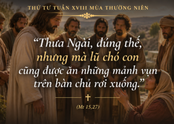 Thứ Tư 05.08.2026 Kiên trì trong đức tin để đón nhận lòng thương xót của Chúa