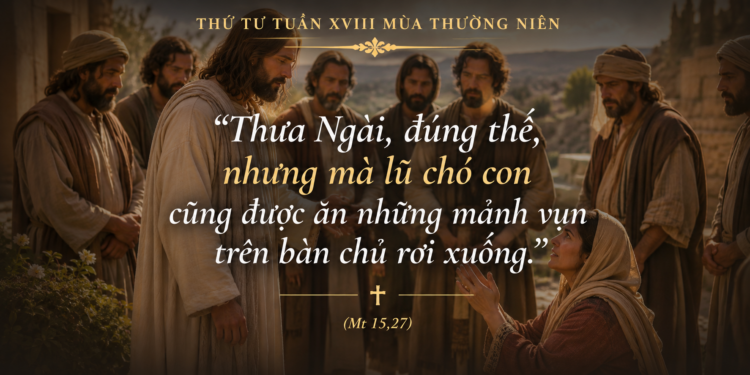 Thứ Tư 05.08.2026 Kiên trì trong đức tin để đón nhận lòng thương xót của Chúa