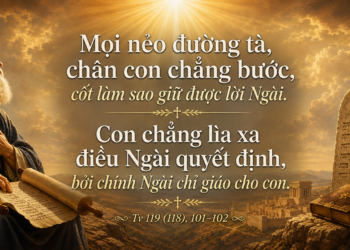 Thánh Vịnh Đáp Ca Thứ Hai Tuần XXII Mùa Thường Niên