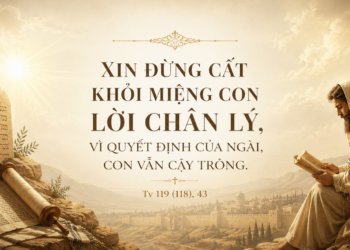 Thánh Vịnh Đáp Ca Thứ Hai Tuần XVIII – Mùa Thường Niên