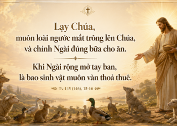 Thánh Vịnh Đáp Ca Chúa Nhật Tuần XVIII – Mùa Thường Niên