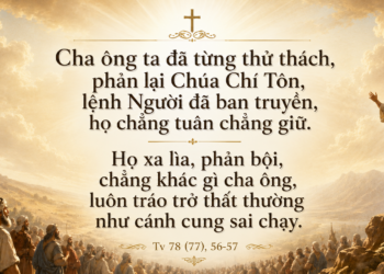 Thánh Vịnh Đáp CaThứ Năm Tuần XIX – Mùa Thường Niên