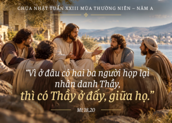 Chúa Nhật 6/9/2026 Cùng Nhau Bước Về Với Chúa Trong Tình Yêu