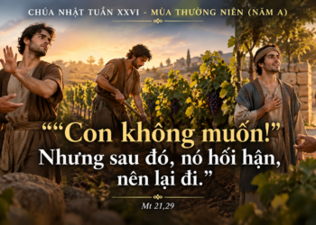 Chúa Nhật 27/9/2026 Lời “vâng” được chứng thực bằng hành động