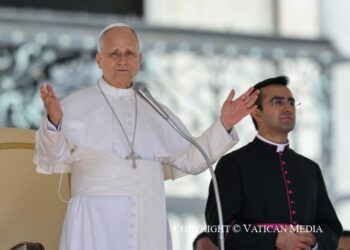 ĐTC Lêô XIV – Chu Kỳ Giáo Lý  Công đồng Vaticanô II qua các Văn kiện IV. Hiến chế Gaudium et Spes 4. Hoạt động của con người trong thế giới