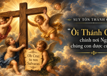Thứ Hai 14/9/2026 Nhìn lên Thánh Giá – Nhận ra tình yêu cứu độ
