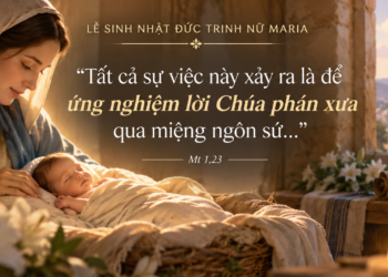 Thứ Ba 8/9/2026 Sinh Nhật Đức Maria – Bình Minh Của Ơn Cứu Độ