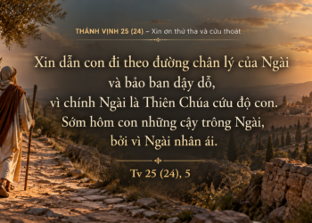 Thánh Vịnh Đáp Ca Chúa Nhật Tuần XXVI – Mùa Thường Niên