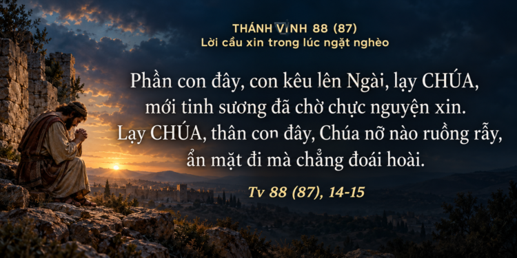 Thánh Vịnh Đáp CaThứ Tư Tuần XXVI – Mùa Thường Niên