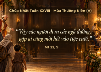 Chúa Nhật 11/10/2026 Được mời dự tiệc, được gọi đổi đời