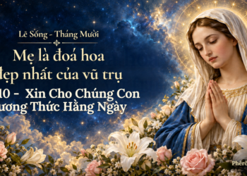Lẽ Sống – Xin Cho Chúng Con Lương Thức Hằng Ngày (16/10)