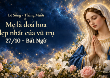 Lẽ Sống – Bất Ngờ (27/10)