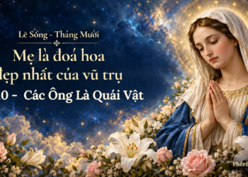 Lẽ Sống – Các Ông Là Quái Vật (29/10)