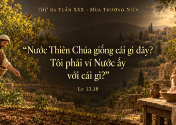 Thứ Ba 27/10/2026 Nước Thiên Chúa: âm thầm lớn lên, lặng lẽ biến đổi