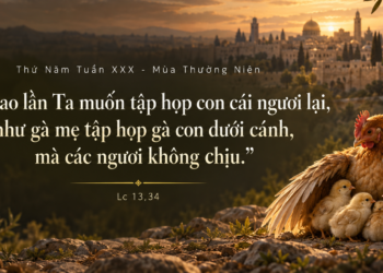 Thứ Năm 29/10/2026 Dưới Cánh Chúa Chở Che