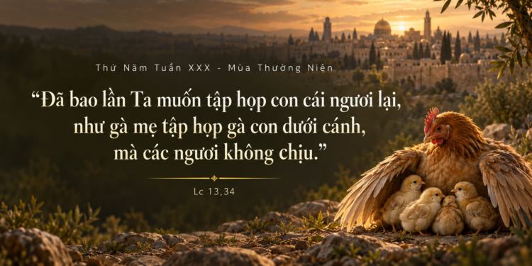 Thứ Năm 29/10/2026 Dưới Cánh Chúa Chở Che