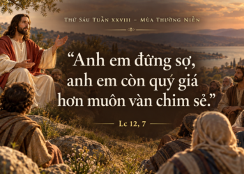 Thứ Sáu 16/10/2026 Đừng sợ, anh em quý giá trước mặt Thiên Chúa