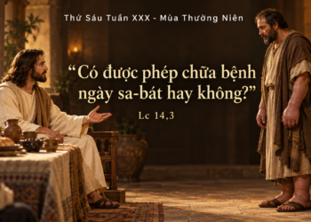 Thứ Sáu 30/10/2026 Lòng thương xót là linh hồn của Lề Luật