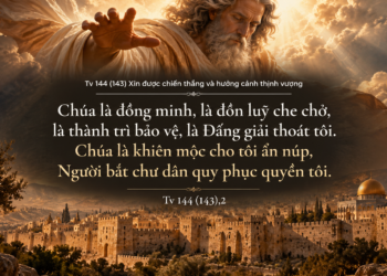 Thánh Vịnh Đáp Ca Thứ Năm Tuần XXX – Mùa Thường Niên