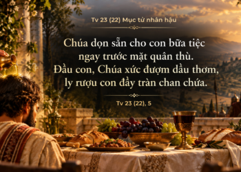 Thánh Vịnh Đáp CaChúa Nhật Tuần XXVIII Mùa Thường Niên