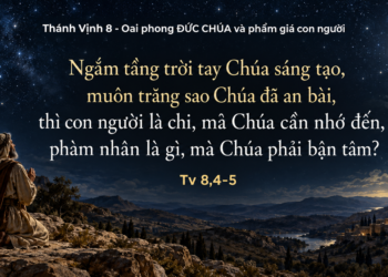 Thánh Vịnh Đáp Ca Thứ Bảy Tuần XXVIII Mùa Thường Niên